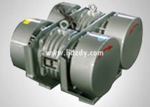 WHZY直線(xiàn)自振源連體電機(jī)